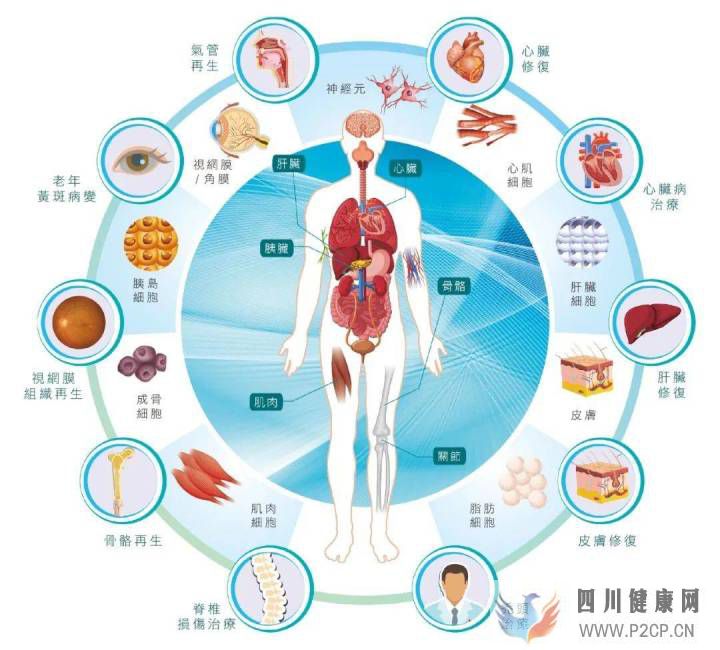 科普丨干细胞是干什么的能治疗哪些病国内外研究...(图5)