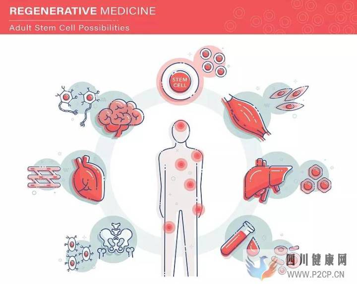 科普丨干细胞是干什么的能治疗哪些病国内外研究...(图9)