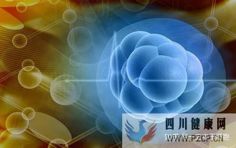 干细胞的4大作用,帮助修复宫腔粘连所致的子宫内膜...(图6) 干细胞的4大作用,帮助修复宫腔粘连所致的子宫内膜...(图6)