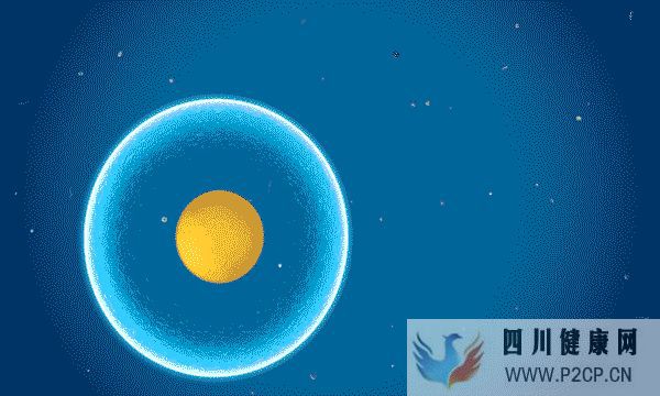 干细胞在人体到底发挥着什么作用(图2) 干细胞在人体到底发挥着什么作用(图2)