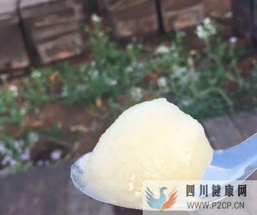 蜂蜜有什么作用和功效蜂蜜的好处和功效(图1)