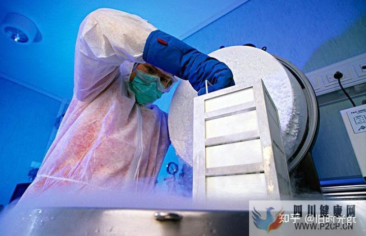 5问干细胞存储知识,详细了解一系列流程(图1) 5问干细胞存储知识,详细了解一系列流程(图1)