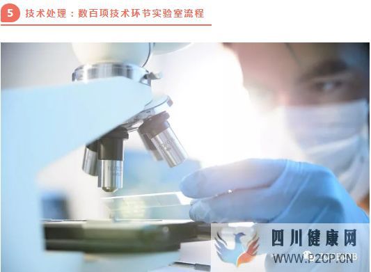 高端解读一分钟了解脐带源间充质干细胞存储流程(图3) 高端解读一分钟了解脐带源间充质干细胞存储流程(图3)