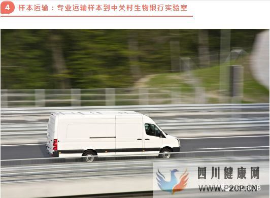 高端解读一分钟了解脐带源间充质干细胞存储流程(图6) 高端解读一分钟了解脐带源间充质干细胞存储流程(图6)