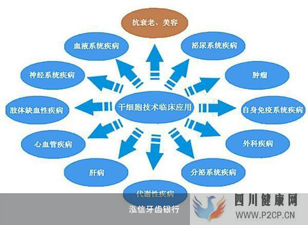 干细胞储存知识分享(图1) 干细胞储存知识分享(图1)