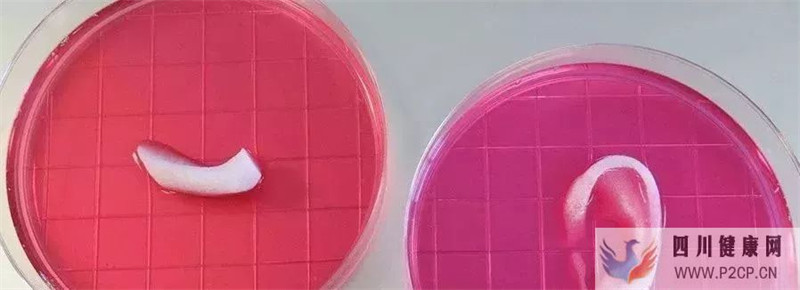 干细胞储存是通往再生医学的一张门票(图1) 干细胞储存是通往再生医学的一张门票(图1)
