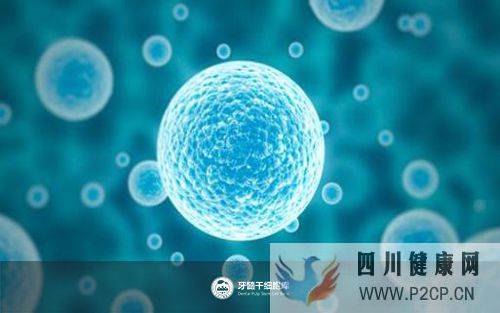牙髓干细胞储存相关知识普及(图1) 牙髓干细胞储存相关知识普及(图1)