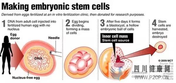 干细胞应用有哪些骗局(图1)
