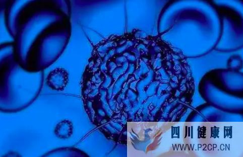 什么是干细胞这里全面解释(图4) 什么是干细胞这里全面解释(图4)