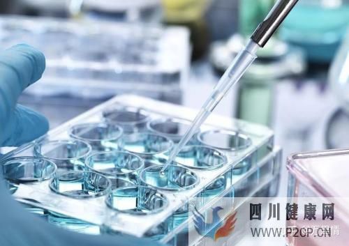 干细胞是什么干细胞的种类(图4) 干细胞是什么干细胞的种类(图4)