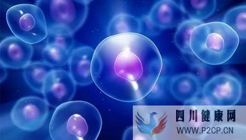 干细胞存储对于我们有什么意义(图2) 干细胞存储对于我们有什么意义(图2)