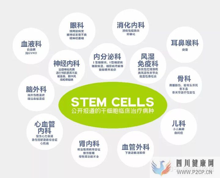 在广州存储干细胞的收费标准是什么样的(图1)