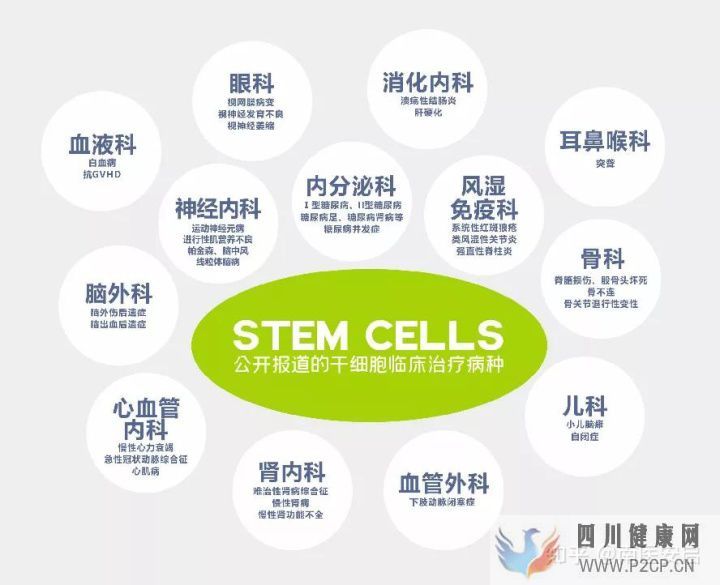 在广州存储干细胞的收费标准是什么样的(图1) 在广州存储干细胞的收费标准是什么样的(图1)