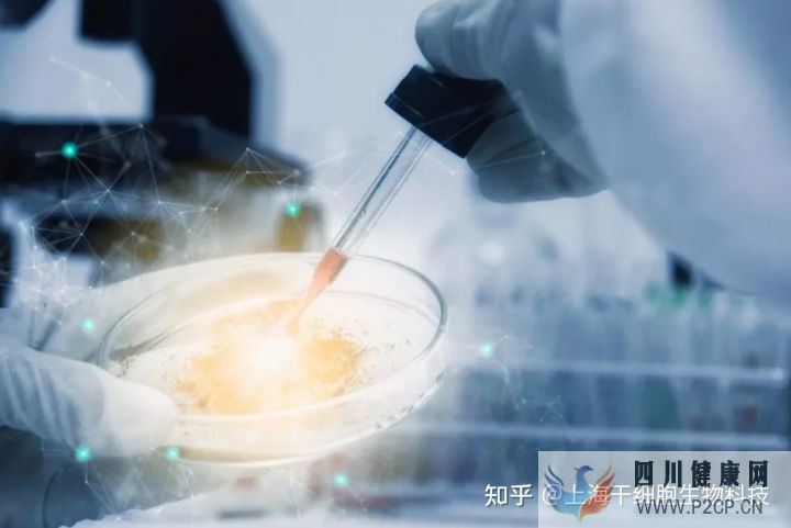 干细胞为什么被称为“全能ACE”,读这篇就够了(图4) 干细胞为什么被称为“全能ACE”,读这篇就够了(图4)