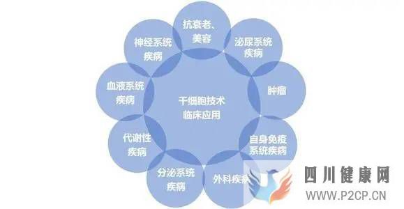 科普丨解答关于干细胞的19个知识点(图3) 科普丨解答关于干细胞的19个知识点(图3)