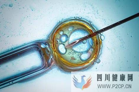 科普丨解答关于干细胞的19个知识点(图12) 科普丨解答关于干细胞的19个知识点(图12)