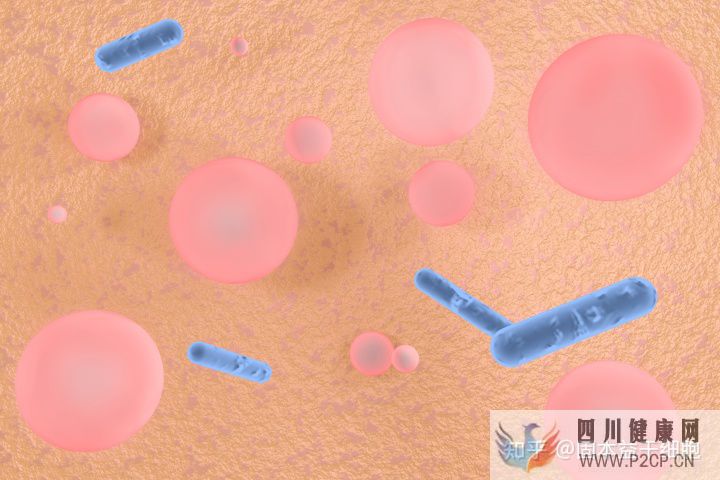 科普我们所说的干细胞,到底是什么(图1) 科普我们所说的干细胞,到底是什么(图1)