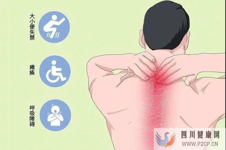 干细胞对10种重大疾病的治疗(图8) 干细胞对10种重大疾病的治疗(图8)