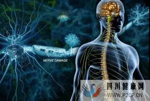 干细胞对10种重大疾病的治疗(图11)