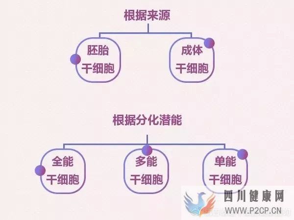 6大趋势告诉你,中国干细胞治疗在技术领域前景非常...(图1)