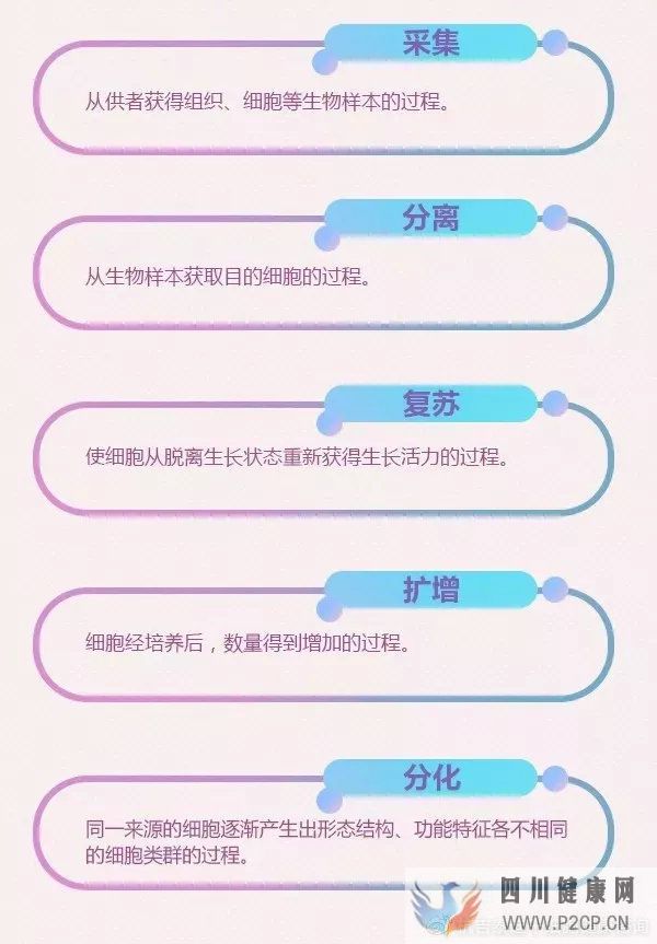 6大趋势告诉你,中国干细胞治疗在技术领域前景非常...(图6) 6大趋势告诉你,中国干细胞治疗在技术领域前景非常...(图6)