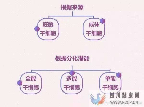 6大趋势告诉你,中国干细胞治疗在技术领域前景非常...(图2) 6大趋势告诉你,中国干细胞治疗在技术领域前景非常...(图2)