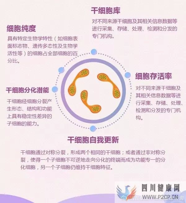6大趋势告诉你,中国干细胞治疗在技术领域前景非常...(图7)