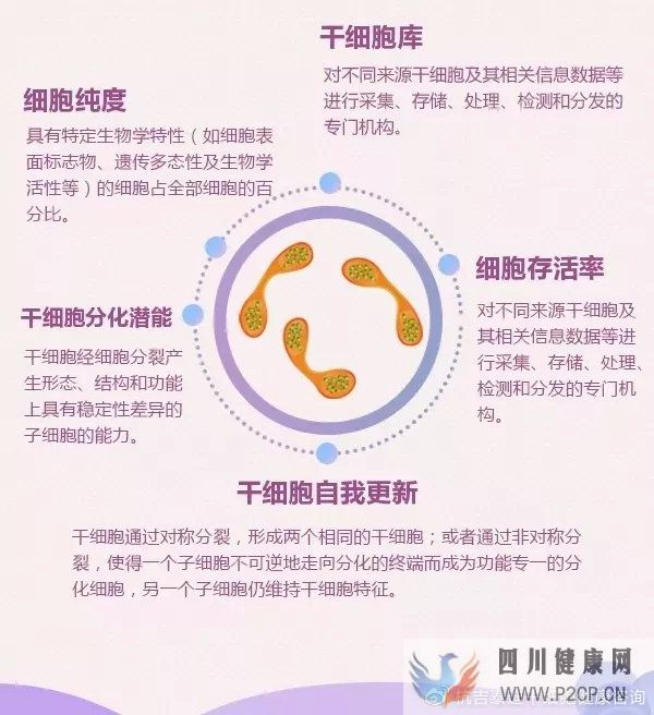 6大趋势告诉你,中国干细胞治疗在技术领域前景非常...(图7) 6大趋势告诉你,中国干细胞治疗在技术领域前景非常...(图7)