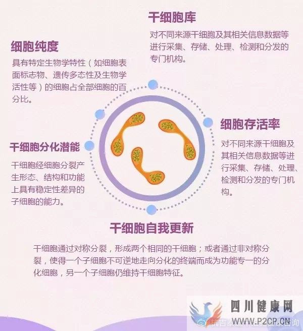 6大趋势告诉你,中国干细胞治疗在技术领域前景非常...(图8) 6大趋势告诉你,中国干细胞治疗在技术领域前景非常...(图8)