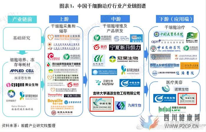 6大趋势告诉你,中国干细胞治疗在技术领域前景非常...(图11)