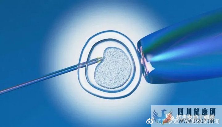 6大趋势告诉你,中国干细胞治疗在技术领域前景非常...(图13) 6大趋势告诉你,中国干细胞治疗在技术领域前景非常...(图13)