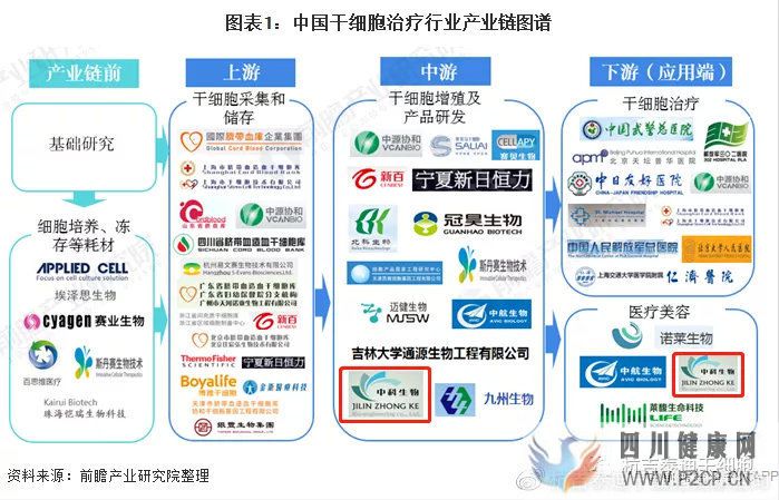 6大趋势告诉你,中国干细胞治疗在技术领域前景非常...(图12) 6大趋势告诉你,中国干细胞治疗在技术领域前景非常...(图12)