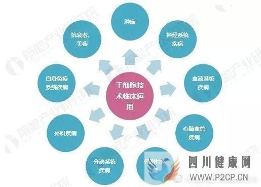 6大趋势告诉你,中国干细胞治疗在技术领域前景非常...(图15)