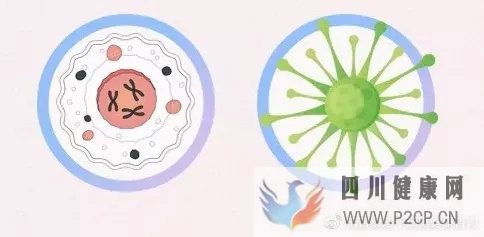 6大趋势告诉你,中国干细胞治疗在技术领域前景非常...(图17) 6大趋势告诉你,中国干细胞治疗在技术领域前景非常...(图17)