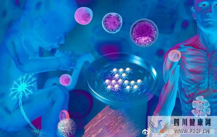 6大趋势告诉你,中国干细胞治疗在技术领域前景非常...(图21) 6大趋势告诉你,中国干细胞治疗在技术领域前景非常...(图21)