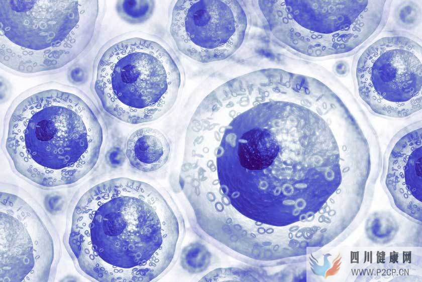 快讯：干细胞治疗卵巢早衰最新研究进展(图4)
