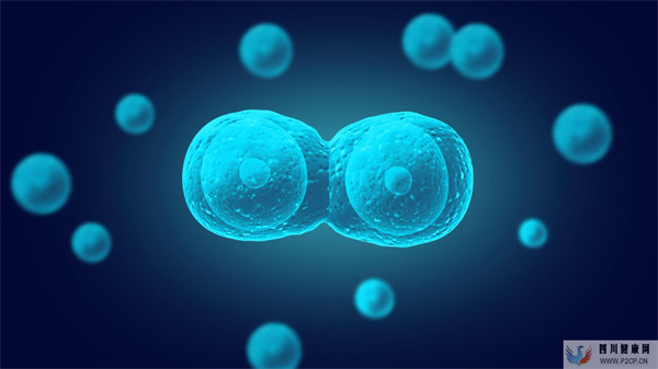 快讯：干细胞治疗卵巢早衰最新研究进展(图5)