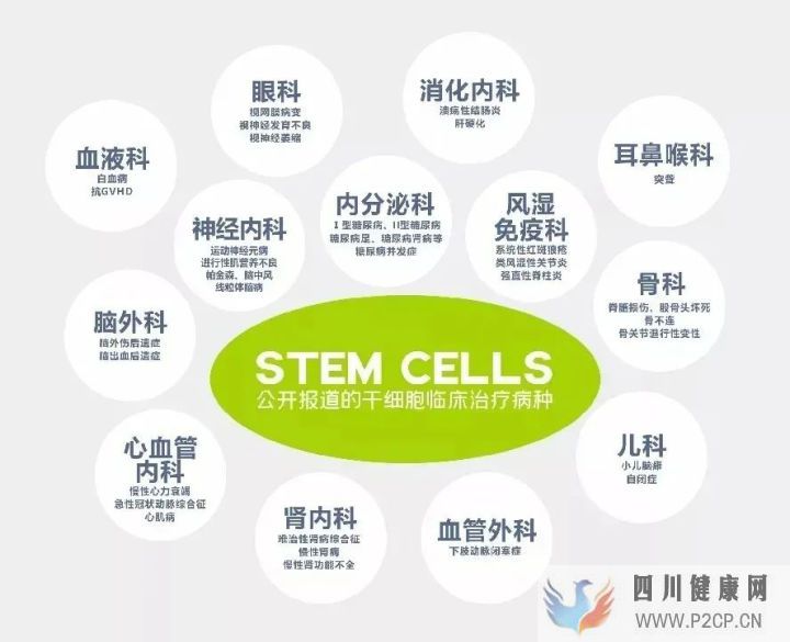 我国已有5项干细胞治疗疾病「专家共识」,以及多种...(图2) 我国已有5项干细胞治疗疾病「专家共识」,以及多种...(图2)