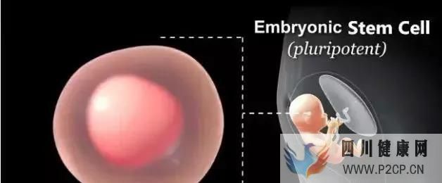 干细胞能治病有什么效果一次给你答案!(图6)