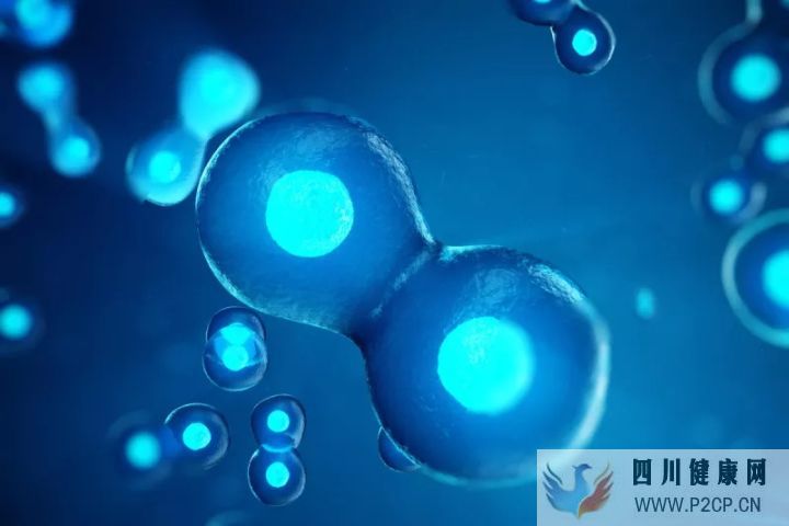 科普干细胞的适应症以及治疗各系统疾病案例分享!(图2) 科普干细胞的适应症以及治疗各系统疾病案例分享!(图2)
