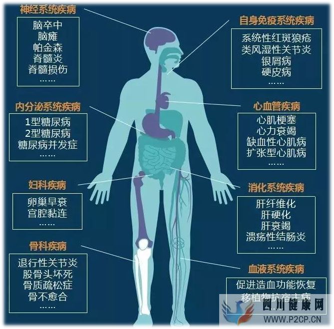 科普干细胞的适应症以及治疗各系统疾病案例分享!(图5)