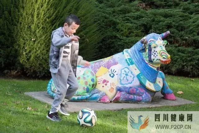 干细胞能为我们治疗什么疾病干细胞给了他们第二次...(图12) 干细胞能为我们治疗什么疾病干细胞给了他们第二次...(图12)