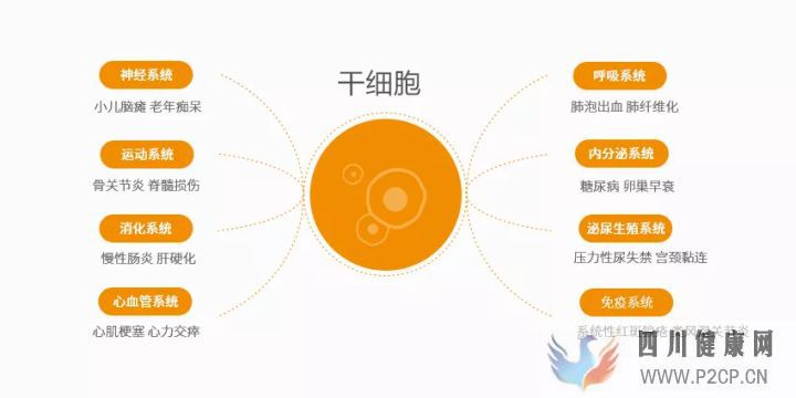 干细胞疗法不吃药不动手术治好了哪些病(图1)