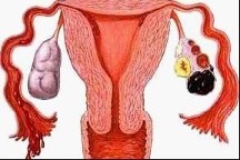 干细胞技术目前治好了哪些病(图2) 干细胞技术目前治好了哪些病(图2)