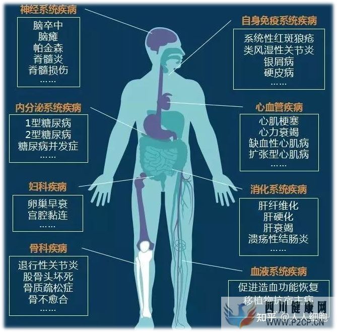 干细胞的适应症以及治疗各系统疾病(图5) 干细胞的适应症以及治疗各系统疾病(图5)
