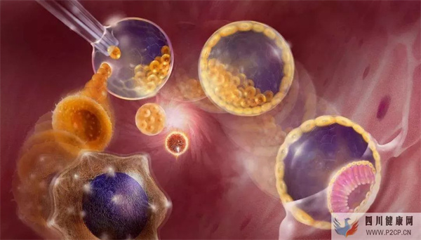 干细胞有望成为药品，干细胞可以治疗哪些病？(图1)