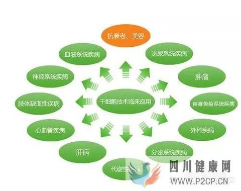 间充质干细胞治疗适应症有哪些(图7) 间充质干细胞治疗适应症有哪些(图7)