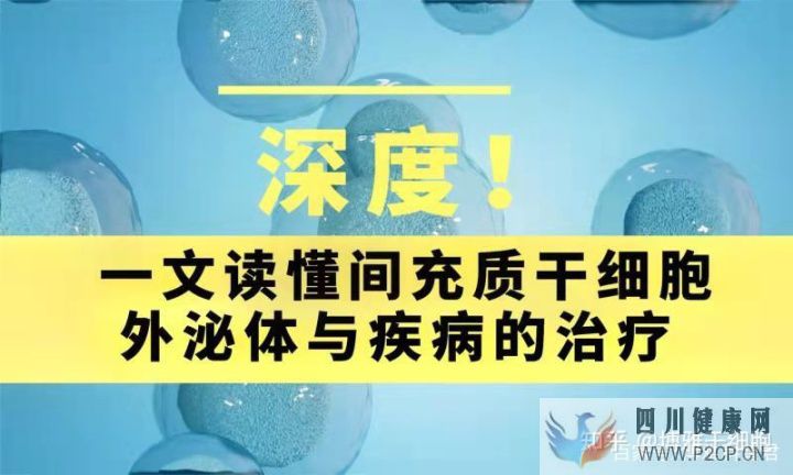 深度!一文读懂间充质干细胞外泌体与疾病的治疗(图1) 深度!一文读懂间充质干细胞外泌体与疾病的治疗(图1)