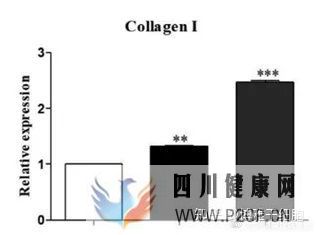 深度!一文读懂间充质干细胞外泌体与疾病的治疗(图21) 深度!一文读懂间充质干细胞外泌体与疾病的治疗(图21)