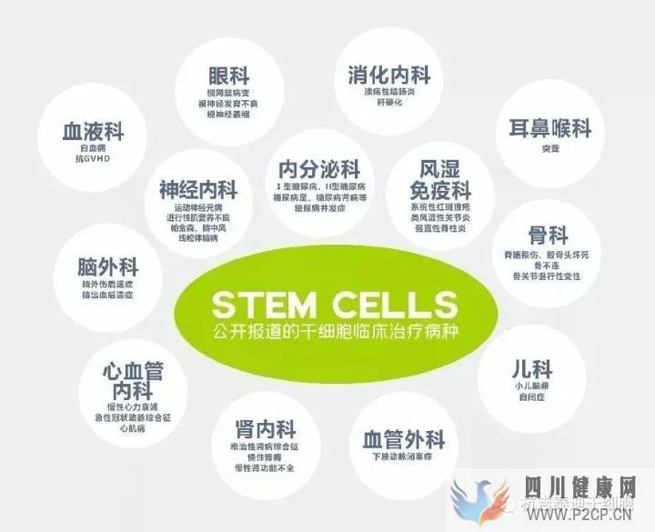什么是间充质干细胞有什么作用功效(图7) 什么是间充质干细胞有什么作用功效(图7)